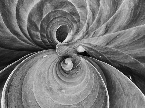 The Unfolding Fan — from the Abstraction collection