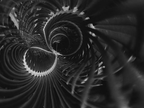 Spiral Thicket — from the Abstraction collection