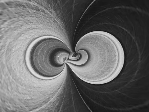 Binary Bloom — from the Abstraction collection