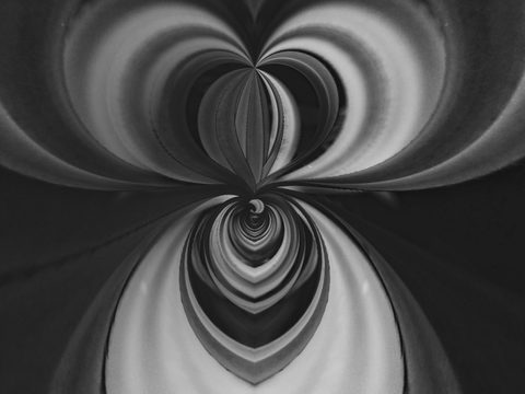 The Moth of Symmetry — from the Abstraction collection