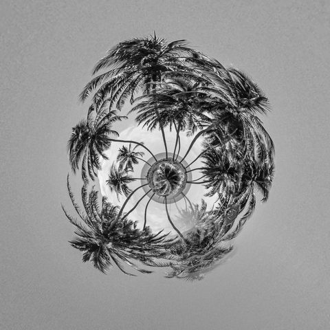 Palm Planet in Silver — from the Abstraction collection