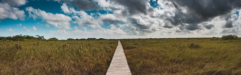 The Boardwalk to Nowhere — from the Aerial collection