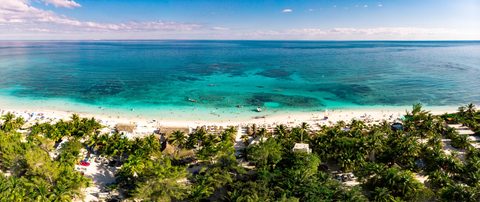 Palm Roofs by the Sea — from the Aerial collection