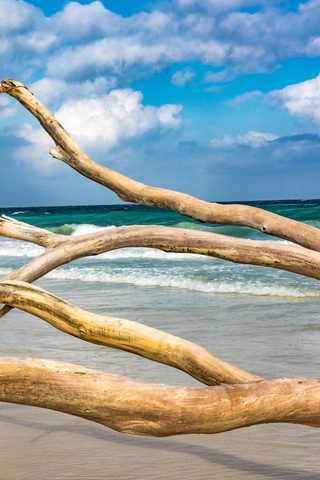 Driftwood Windows — from the Shore collection