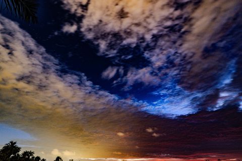 Night Blooms Overhead — from the Nocturne collection