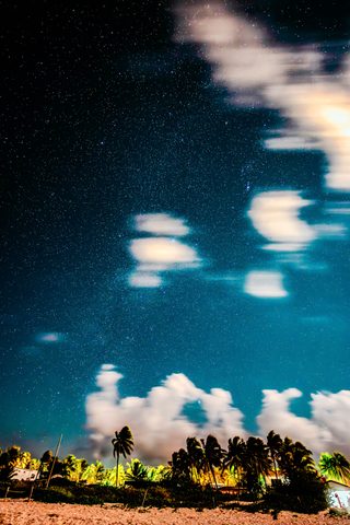 Palms Under the Milky Way — from the Nocturne collection