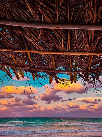 Under the Palapa Sky — from the Shore collection