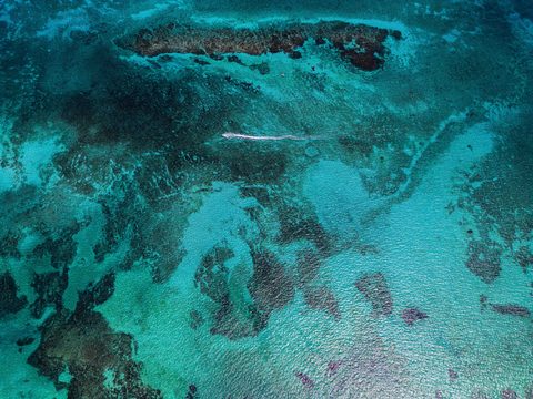 Reef Mosaic — from the Aerial collection
