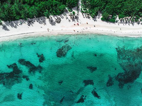 Beach Day, From Above — from the Aerial collection