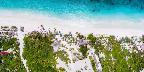 Palms Over the Shallows — from the Aerial collection