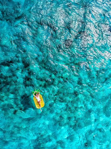 The Swimmer's Daydream — from the Aerial collection