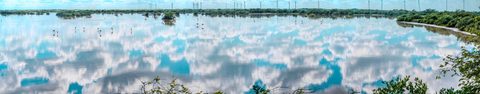 Flamingos Resting in Clouds — from the Shore collection