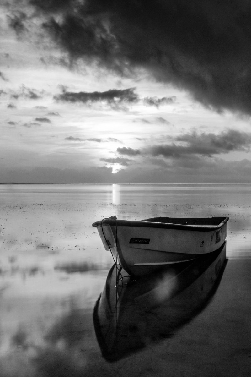 From the Monochrome collection — Black-and-white studies — coastal minimalism and nature macro.