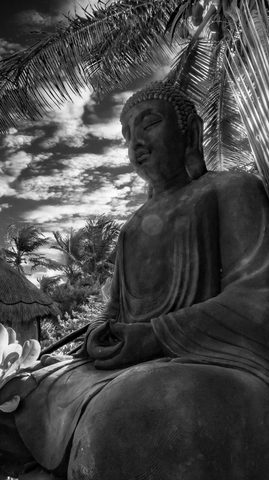 Buddha Beneath the Palms — from the Monochrome collection