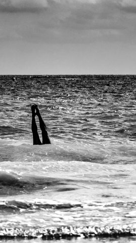 The Diver's Farewell — from the Monochrome collection