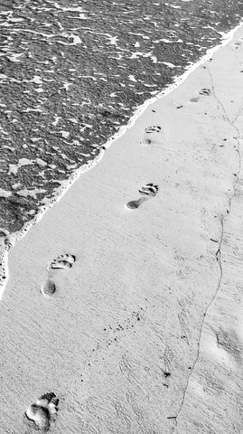 Footprints North — from the Monochrome collection