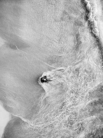 The Surfer in the Foam — from the Monochrome collection
