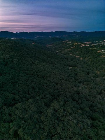 Green Hills at Blue Hour — from the Nocturne collection
